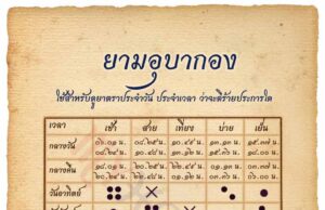 ชีวิตบนเส้นทางสายเดิมพัน ชีวิตบนเส้นทางสายเดิมพัน