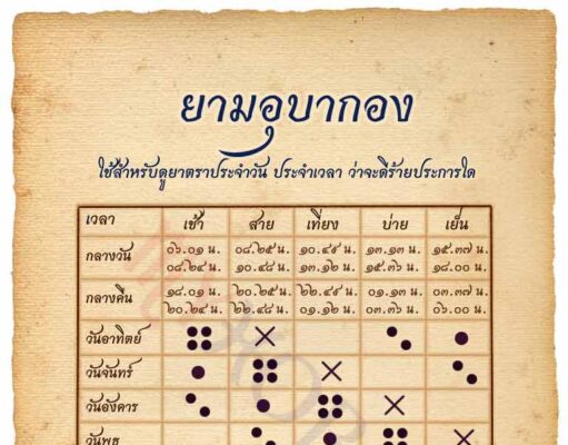 ชีวิตบนเส้นทางสายเดิมพัน ชีวิตบนเส้นทางสายเดิมพัน