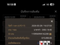 ทุบสถิติโบนัสแตก! รีวิวบาคาร่ายุคใหม่ จ่ายหนัก 1 ต่อ 50 พลิกนรกทุน 6 ล้าน